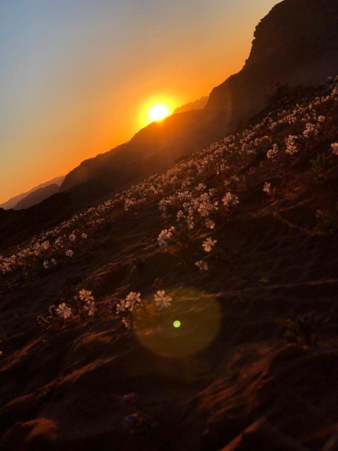 Star Walk Camp & Tours Hotel Wadi Rum Exterior photo